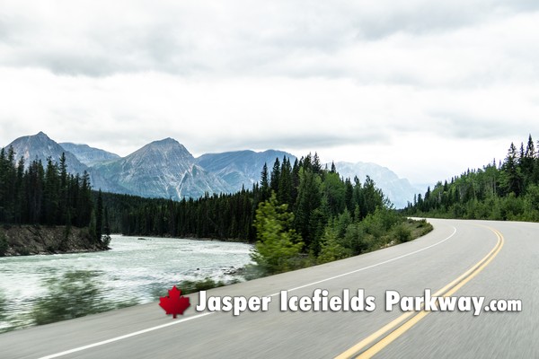 Jasper Icefields Parkway