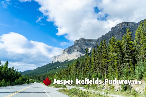 Jasper Icefields Parkway