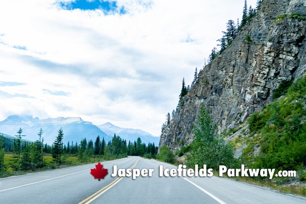Jasper Icefields Parkway