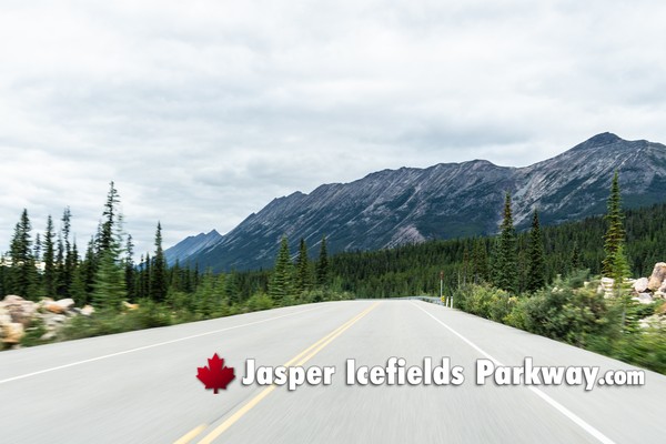 Jasper Icefields Parkway
