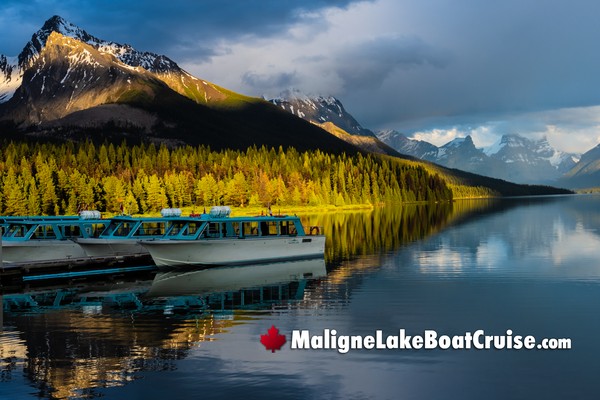 Maligne Lake Boat Cruise